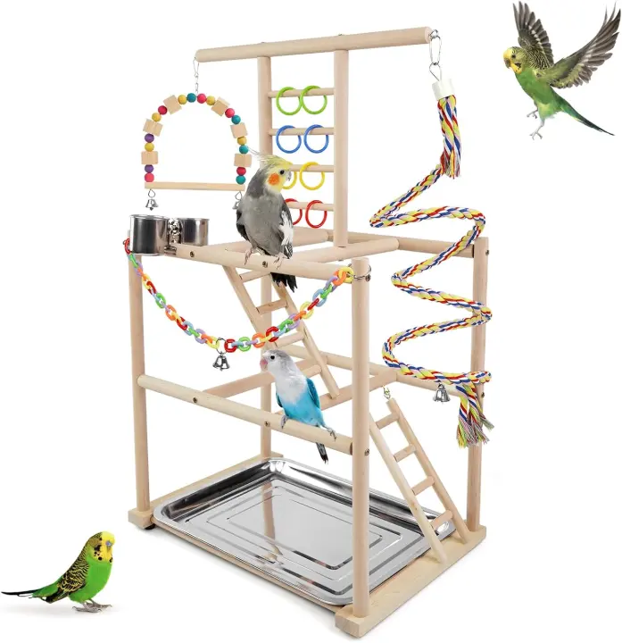 Parrot Playstand & Activity Gym — Playground for Small to Medium Birds